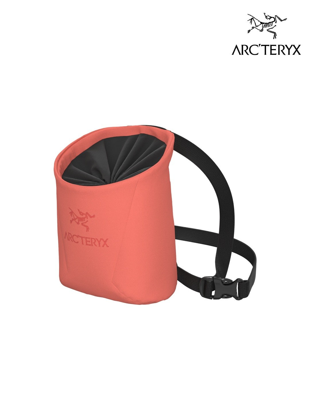 Ion SL Chalkbag #Reef [X00001036403]｜ARC'TERYX – moderate