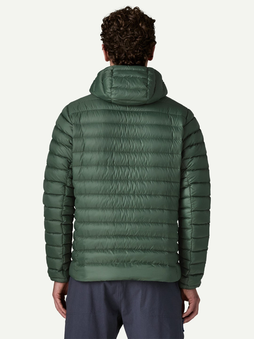 【Men】Men's Down Sweater Hoody #TLGR [84702]｜patagonia