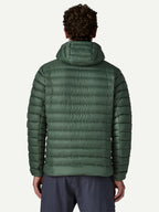 【Men】Men's Down Sweater Hoody #TLGR [84702]｜patagonia