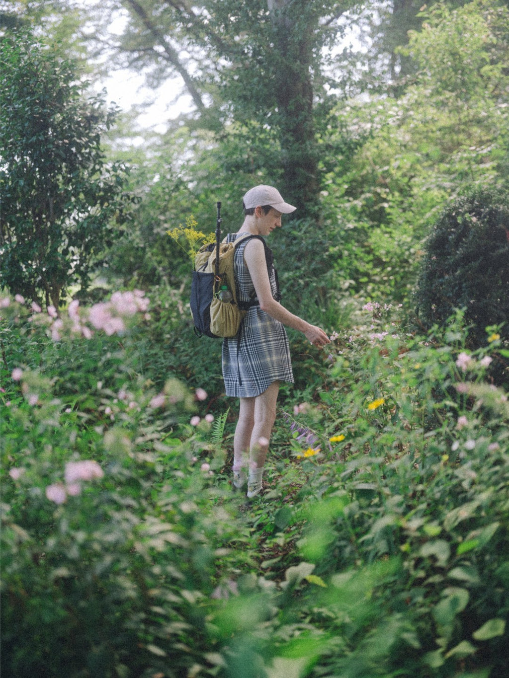 高山植物図鑑 #off white｜高山植物図鑑