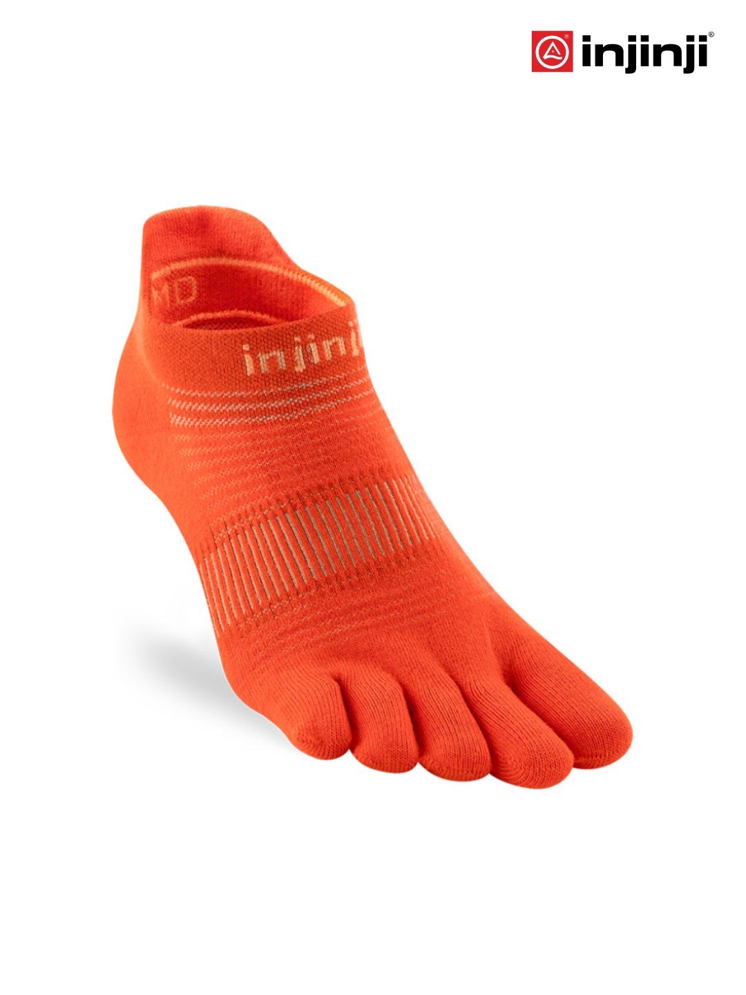 ランLWノーショウ #フレーム [281110]｜injinji