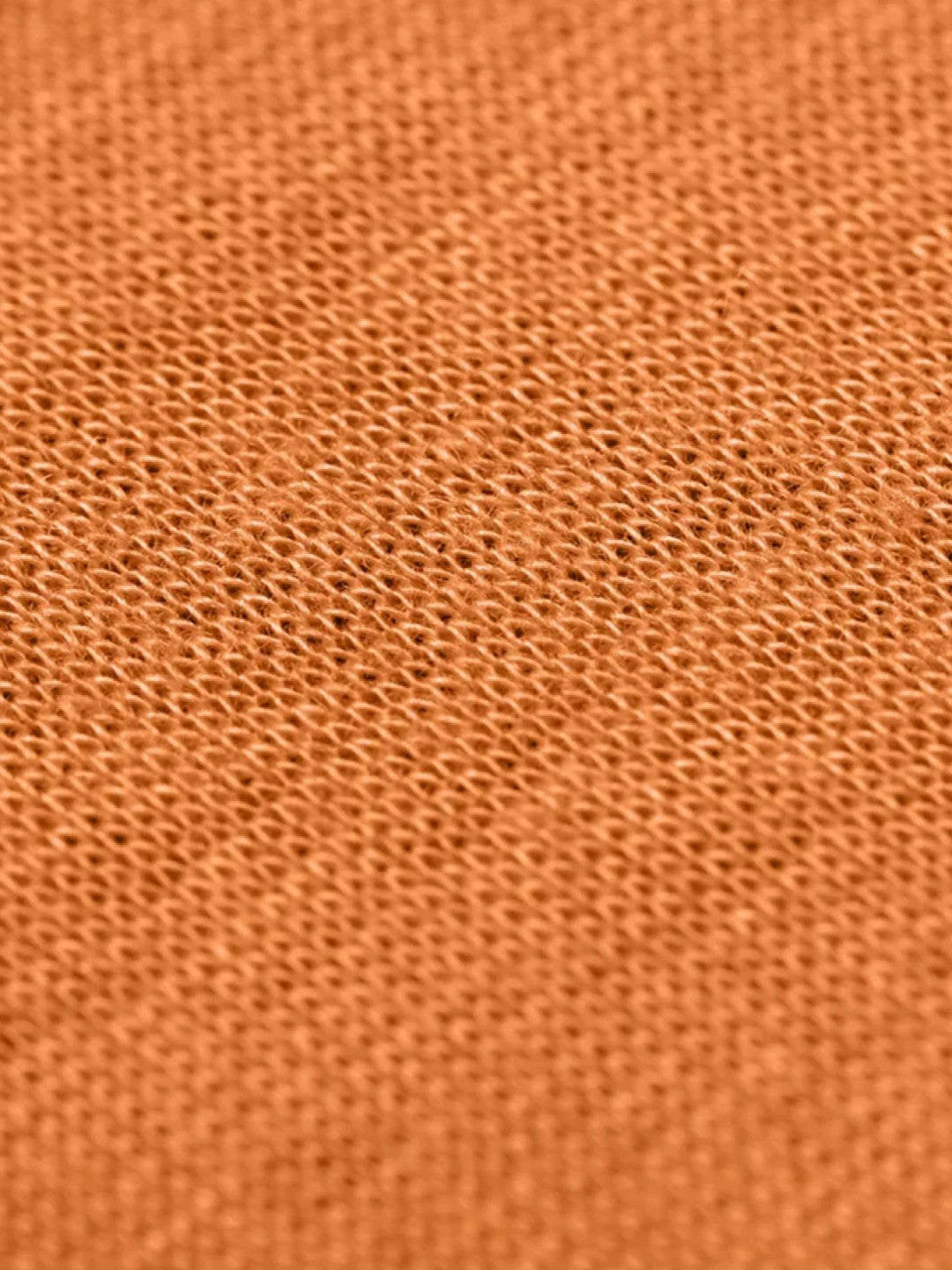 Tracer Blaze Reg｜NEMO