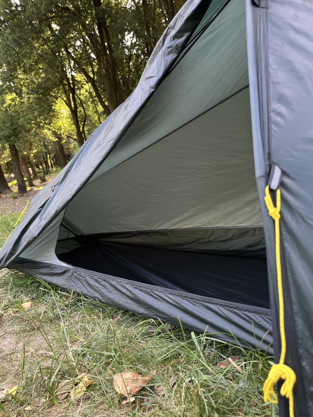 レーサーパルス 1 #グリーン [TLP1001]｜TERRA NOVA