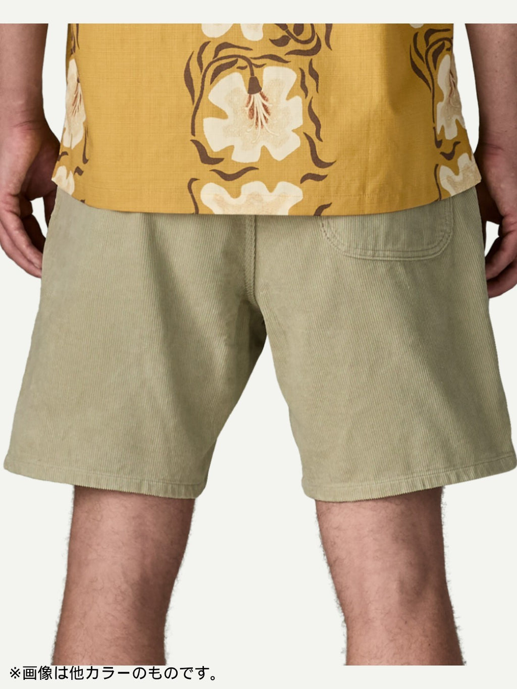 Corduroy Volley Shorts #GMTG [57345]｜patagonia