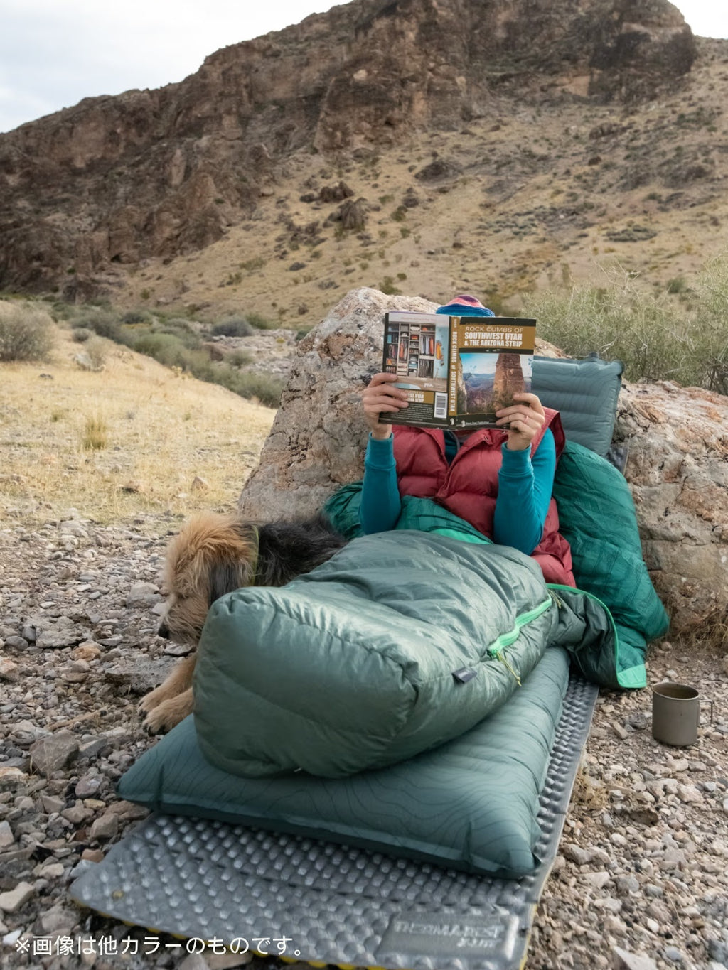 Ｚライトソル Ｒ #シルバー／ブルー [30118]｜THERMAREST