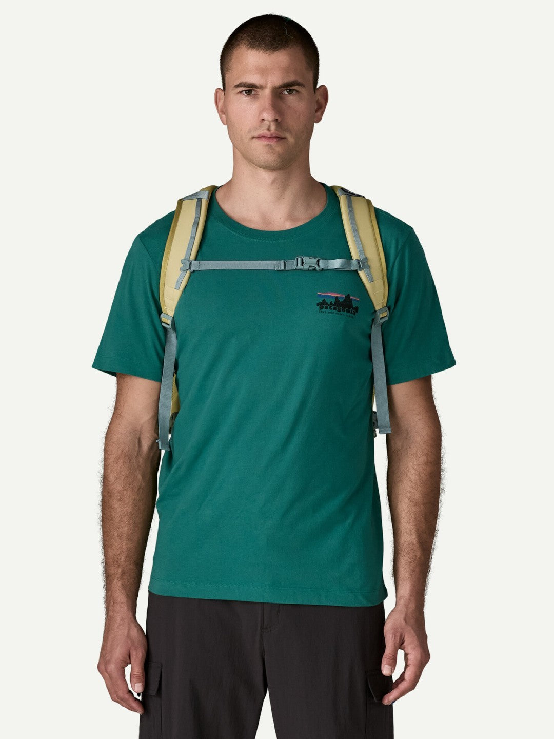 Refugio Day Pack 30L #WSTO [47929]｜patagonia