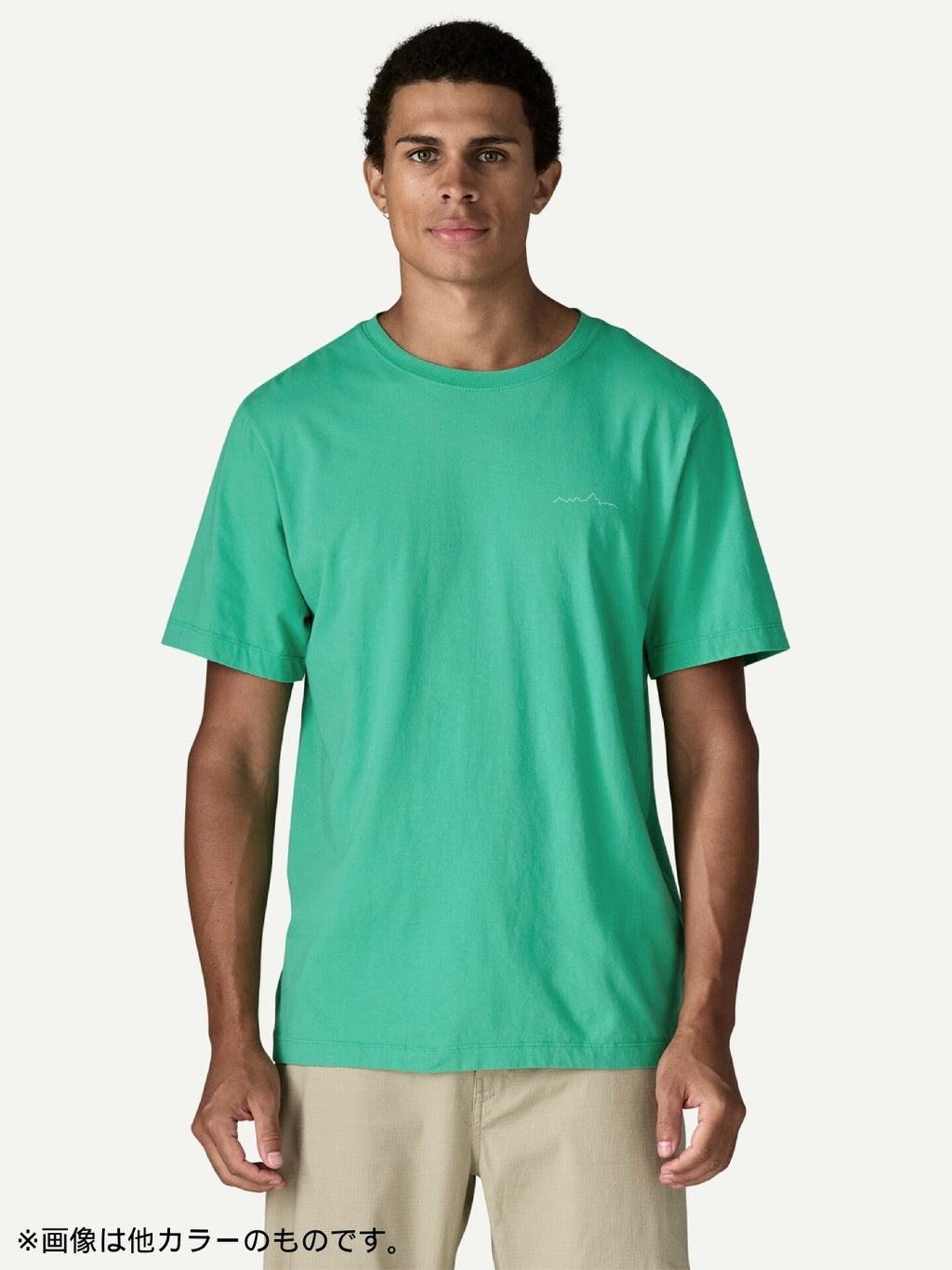 Multi-Pitch T-Shirt #LMST [37843]｜patagonia