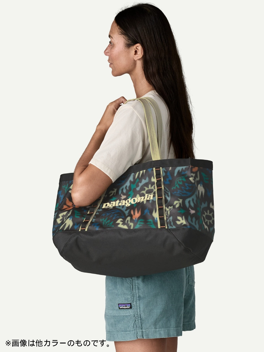 Black Hole Tote 25L #AQST [49032]｜patagonia