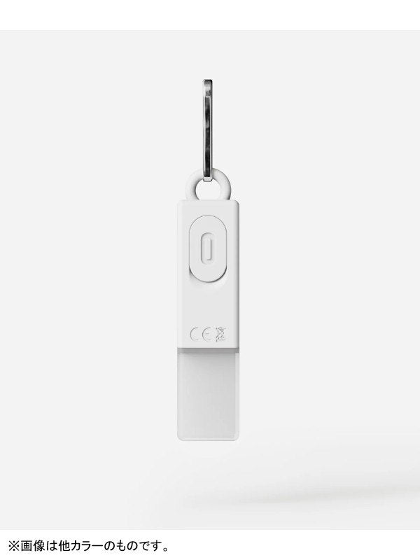 Lightstick Usb-c #Green [BM-583]｜BOOKMAN