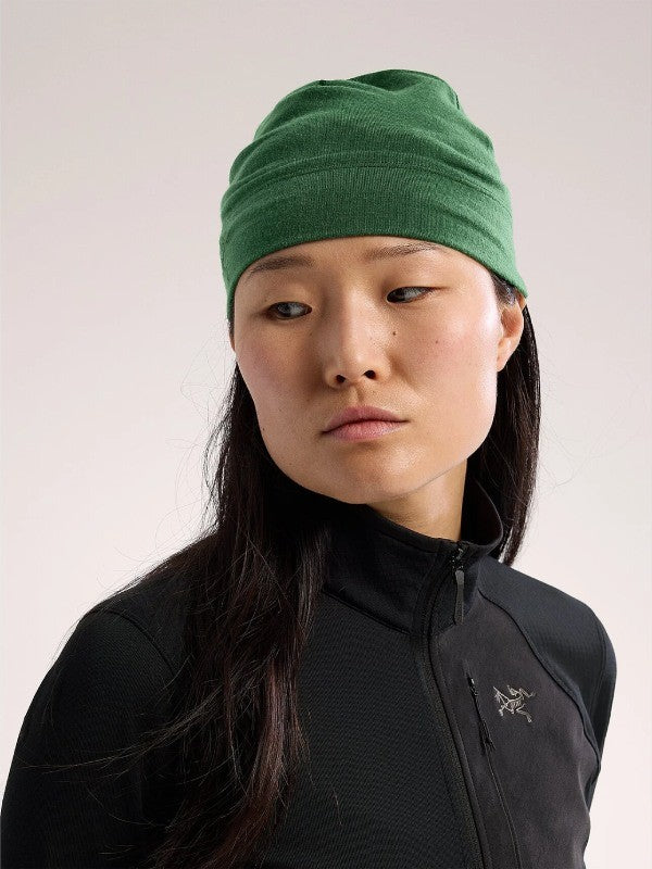 Rho Lightweight Wool Toque #Eden [X00000599005]｜ARC'TERYX – moderate