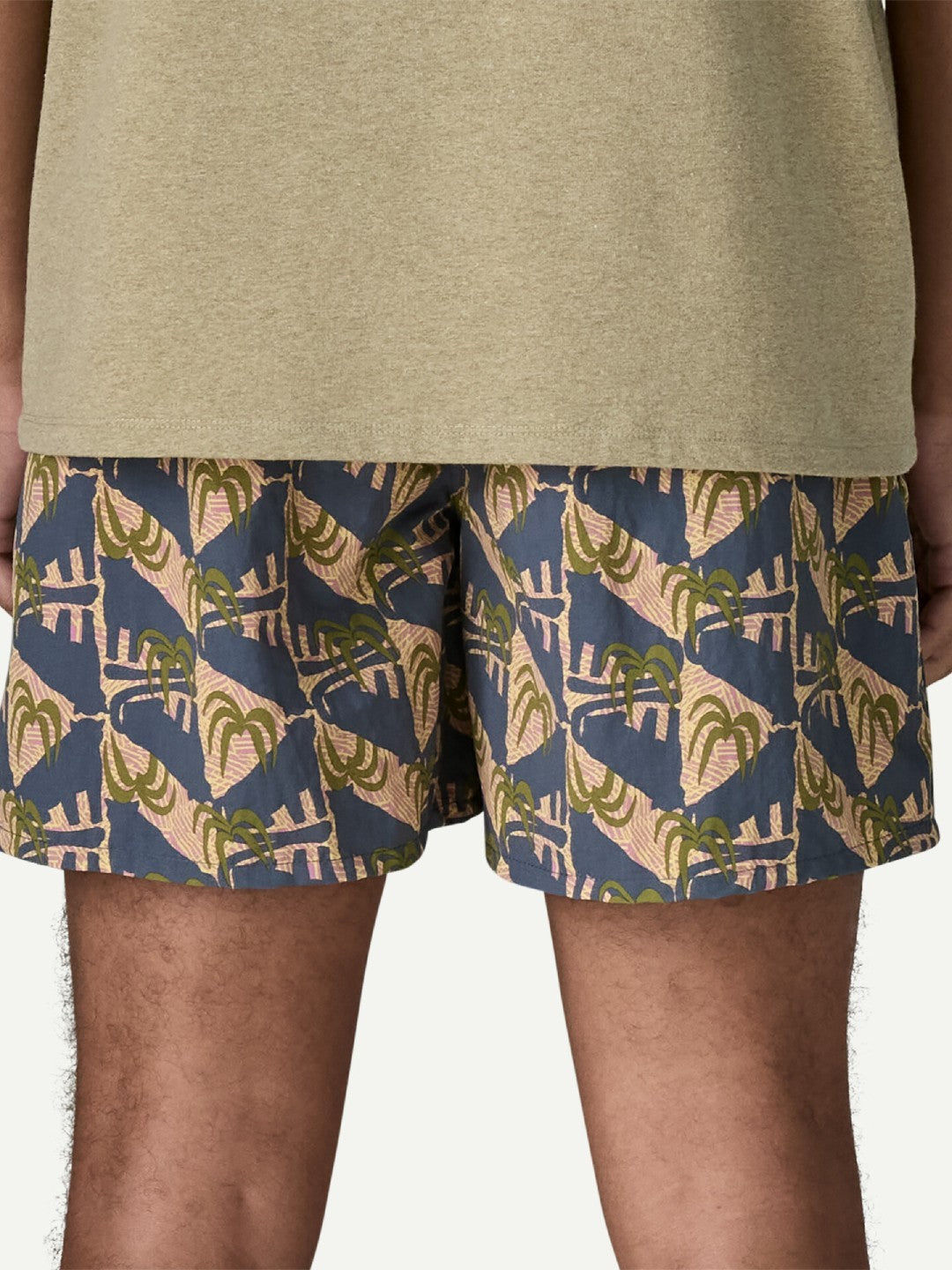 Baggies Shorts - 5 in. #JGDO [57022]｜patagonia