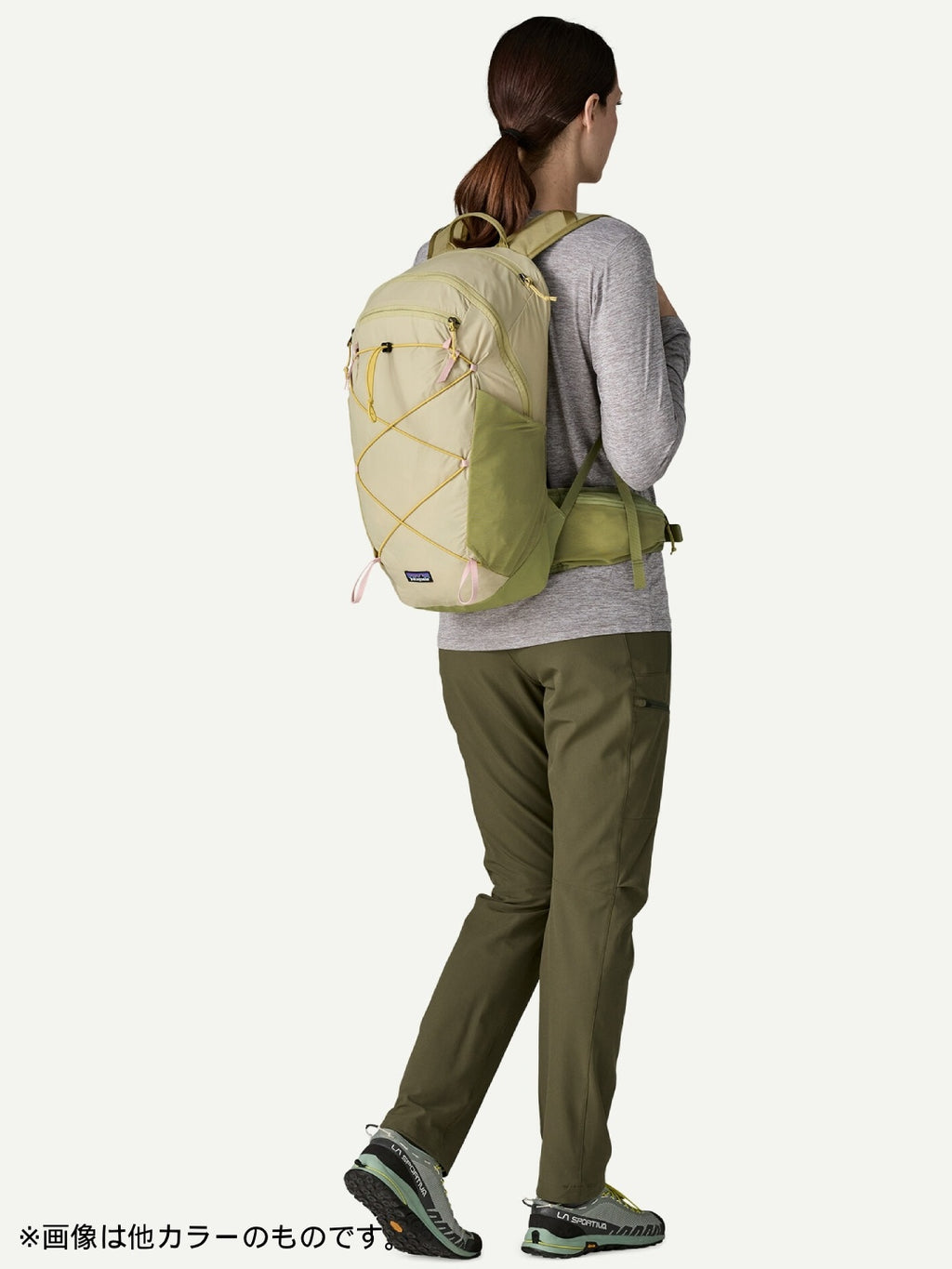 Terravia Pack 22L #BLSG [48906]｜patagonia