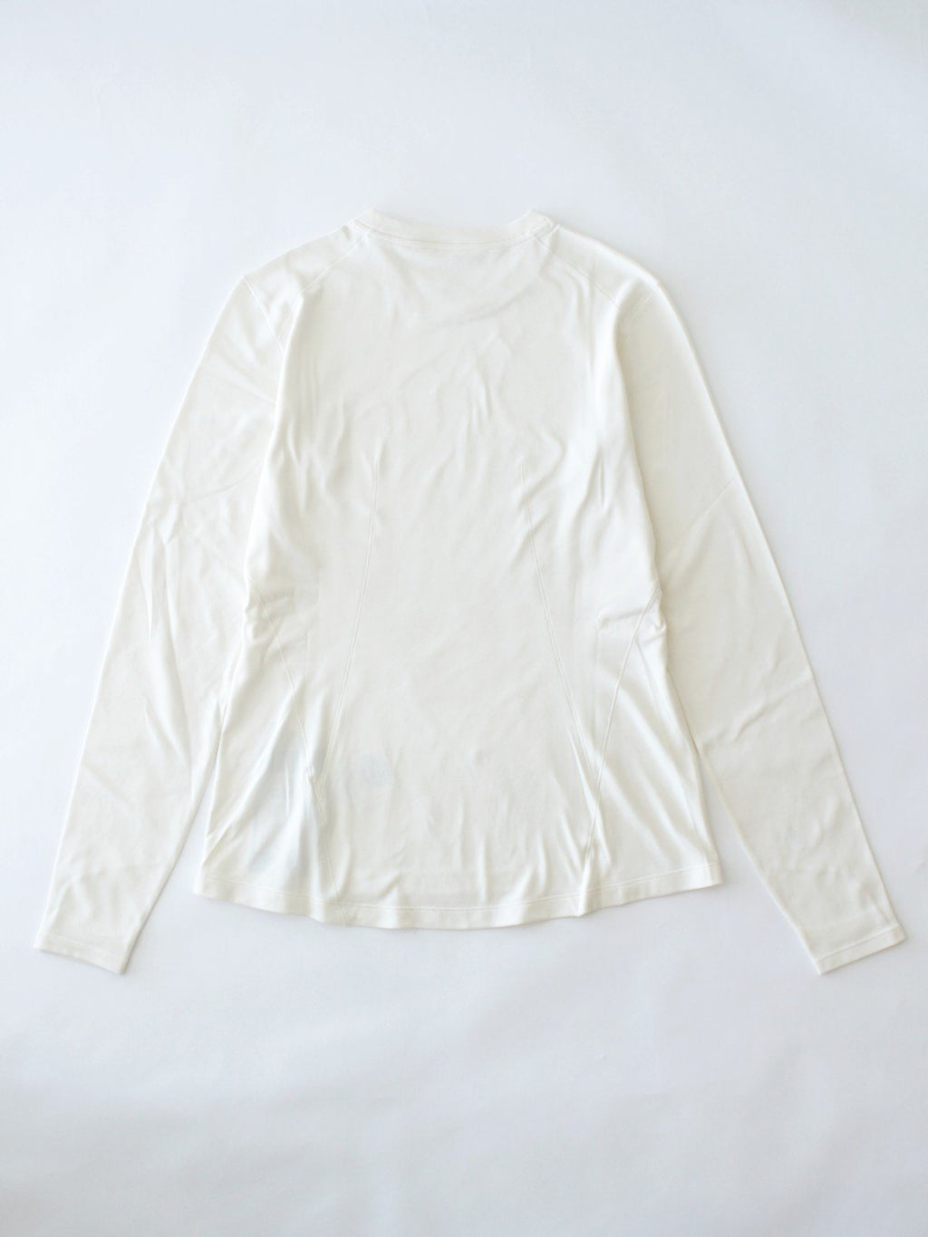 Women's Taema Thermal Crew LS #Arctic Silk Heather [X00001025802]｜ARC'TERYX