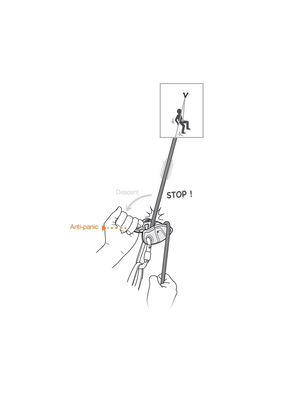 グリグリ＋ #グリーン [D015AA02]｜PETZL