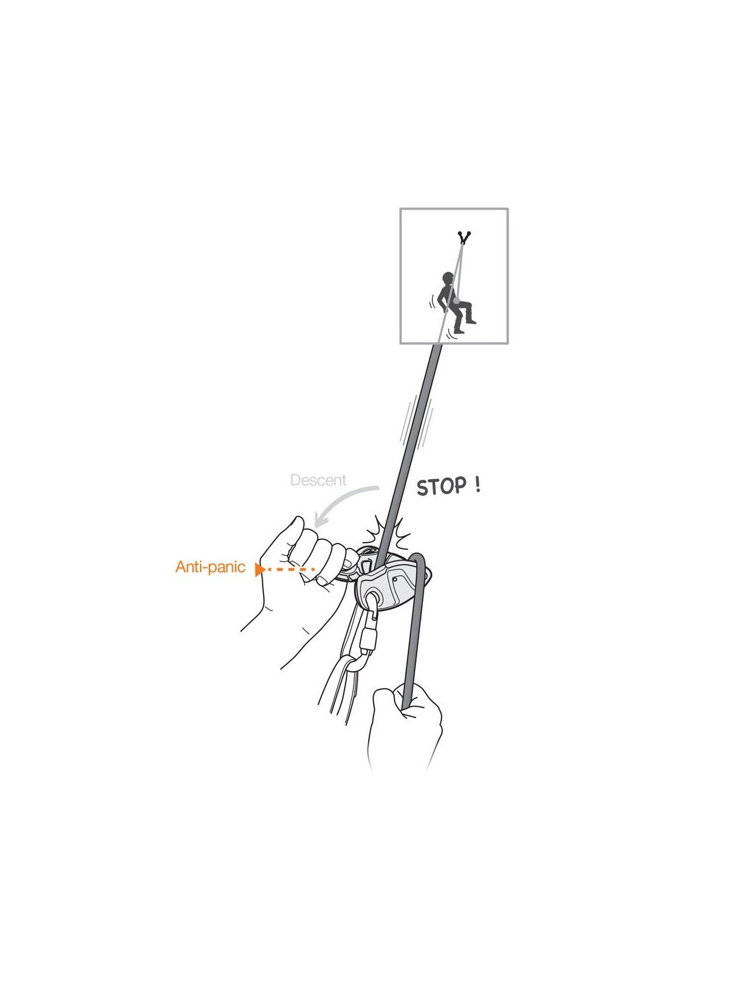 グリグリ＋ #グリーン [D015AA02]｜PETZL
