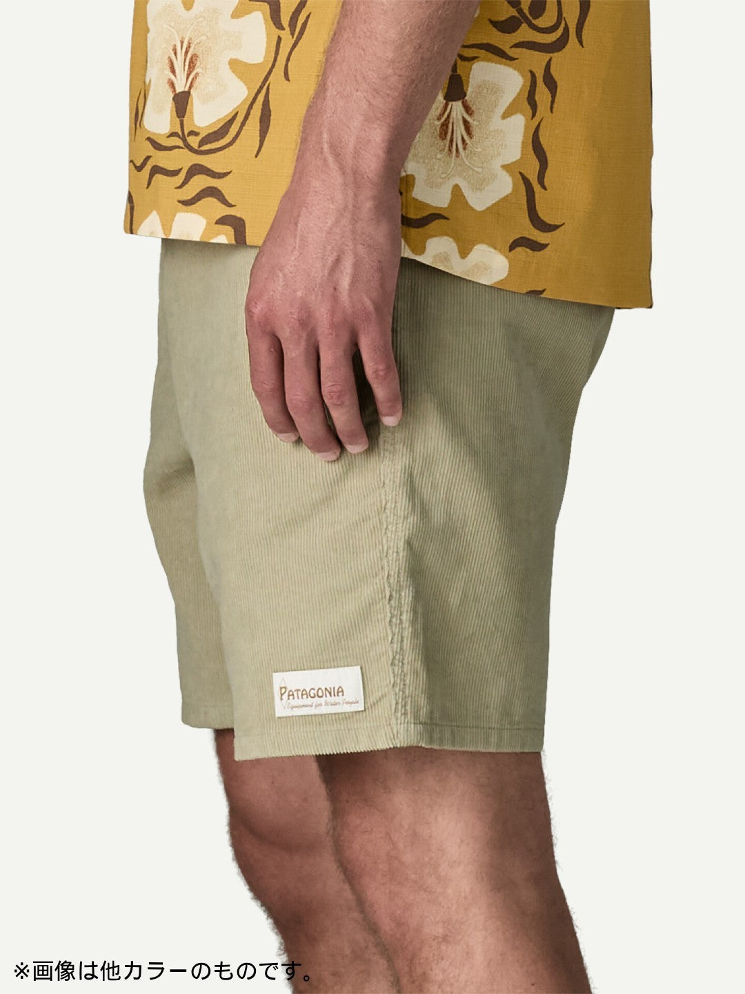 Corduroy Volley Shorts #GMTG [57345]｜patagonia – moderate