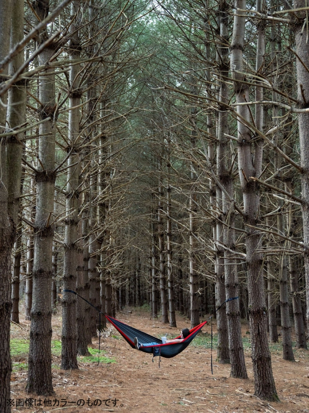 SingleNest #Black/Charcoal [SN010]｜eno