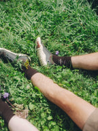高山植物図鑑 #Burgundy｜高山植物図鑑