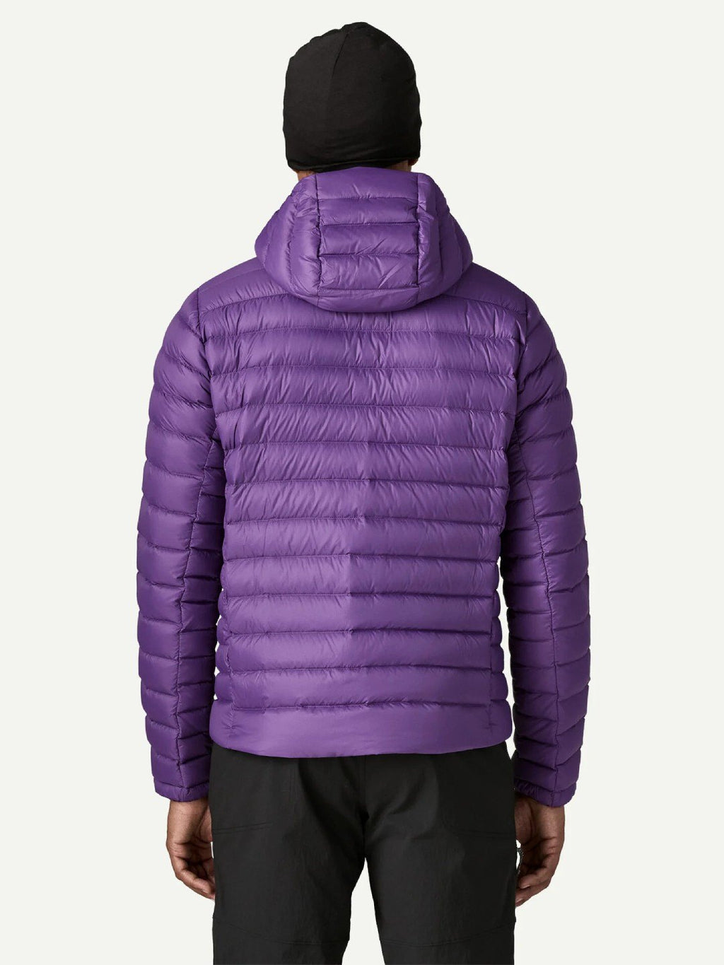 【Men】Men's Down Sweater Hoody #PUR [84702]｜patagonia