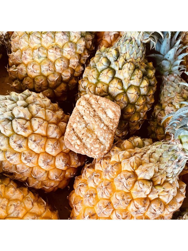パイナップルディライト [MNB0004]｜MANABAR