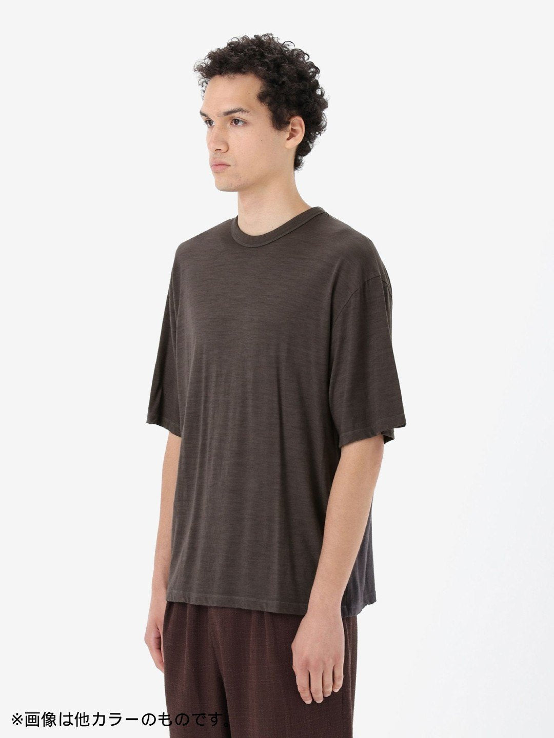 U Merino 150 Nature Dye SS Tee #マツボックリ [IB0A56ZG]｜icebreaker