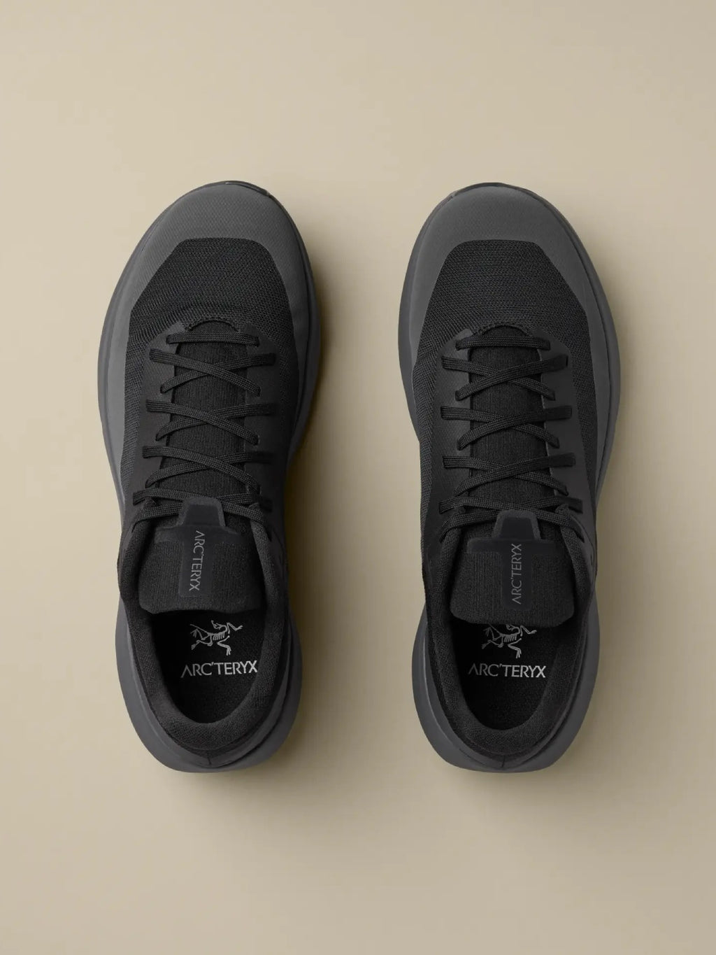 【Men】NORVAN LD 4 M #Black / Graphite [L08261200]｜ARC'TERYX