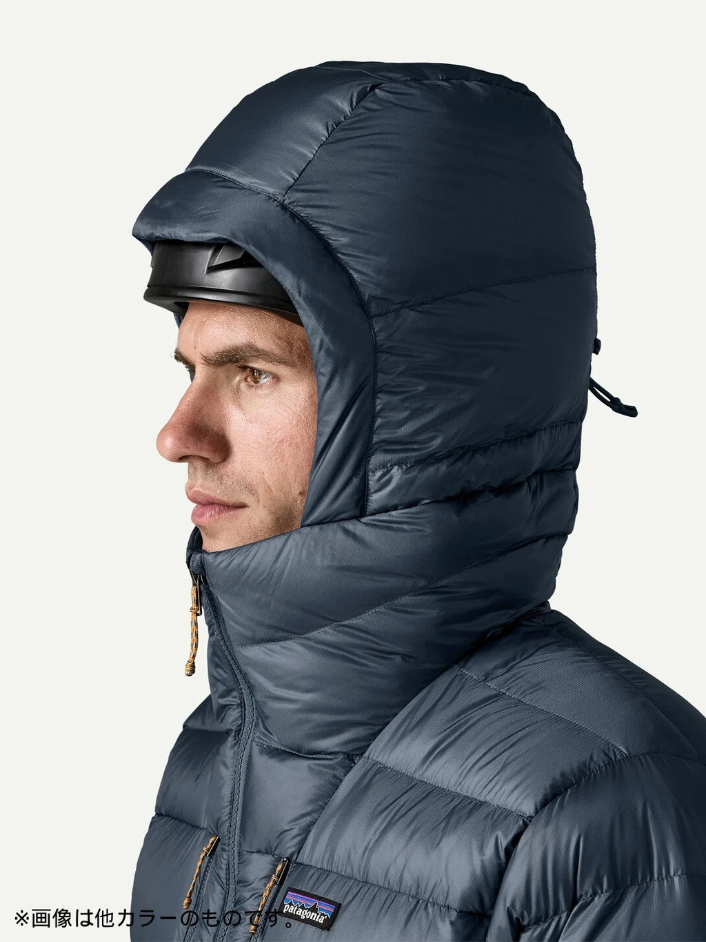 【Men】Men's Fitz Roy Down Hoody #BLK [85501]｜patagonia