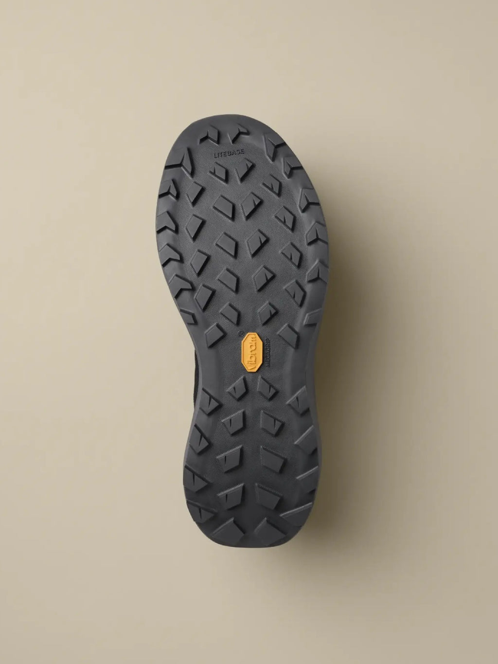 【Men】NORVAN LD 4 M #Black / Graphite [L08261200]｜ARC'TERYX