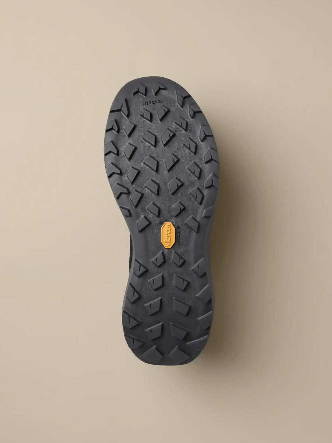 【Men】NORVAN LD 4 M #Black / Graphite [L08261200]｜ARC'TERYX