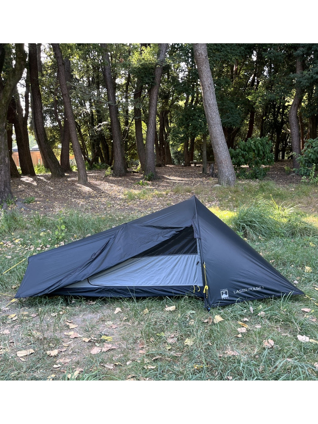 レーサーパルス 1 #グリーン [TLP1001]｜TERRA NOVA