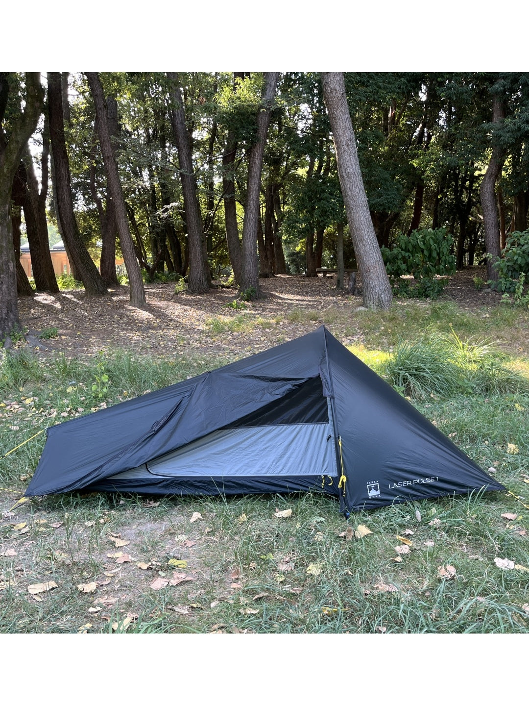 レーサーパルス 1 #グリーン [TLP1001]｜TERRA NOVA