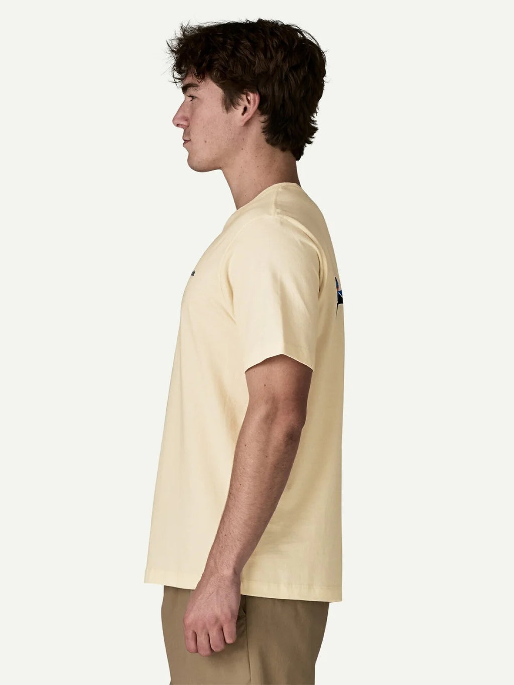 Fitz Roy Trout T-Shirt #UDNL [37846]｜patagonia