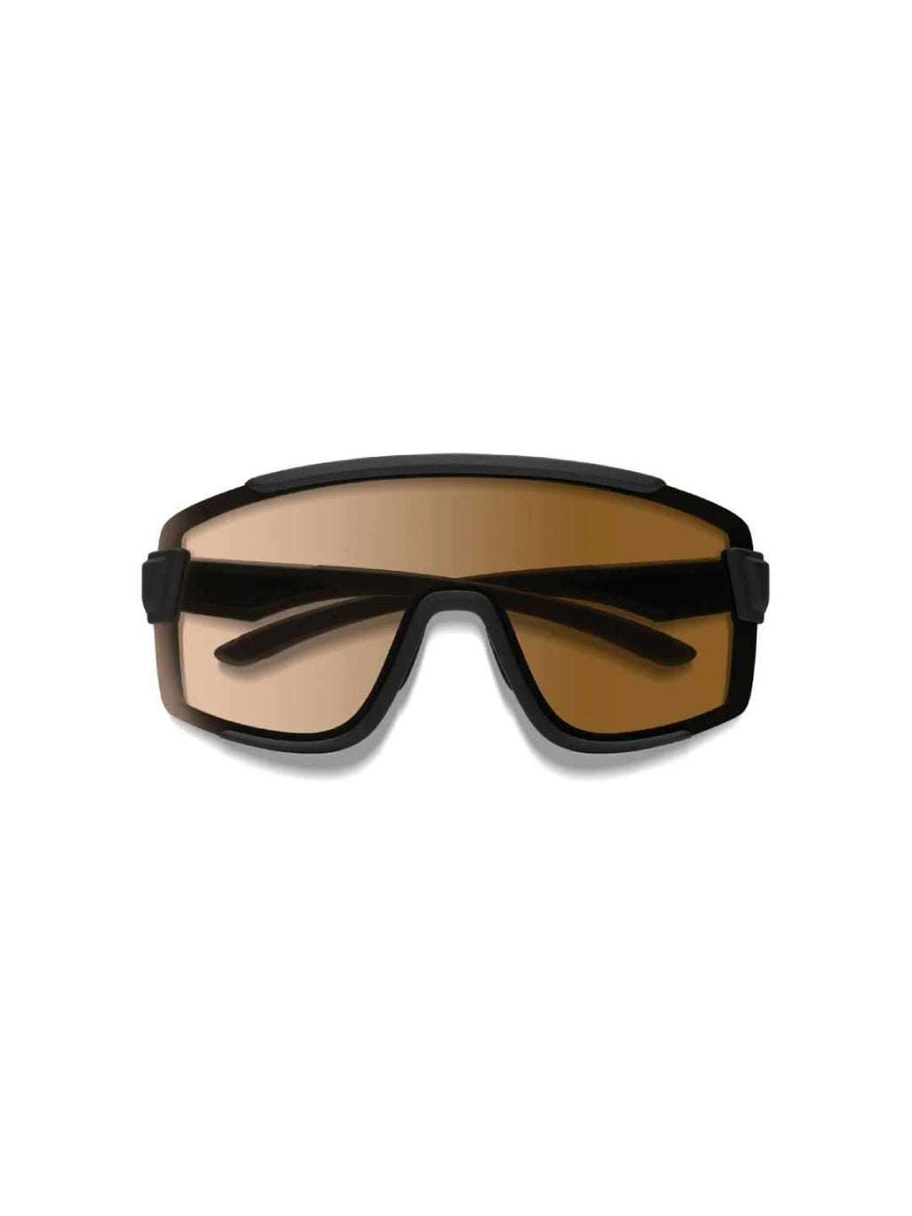 Wildcat Asia Fit CP-Photochromic Brown & Clear #Matte Black [205000925]｜SMITH