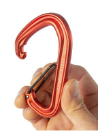 ホットワイヤー #オクタン [BD10078003]｜Black Diamond