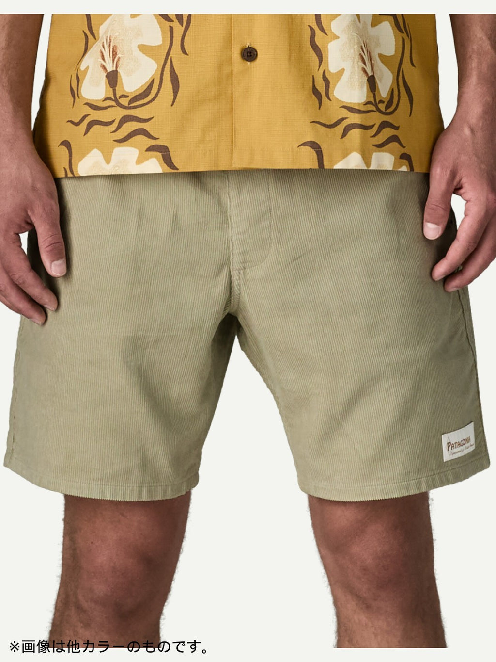 Corduroy Volley Shorts #GMTG [57345]｜patagonia