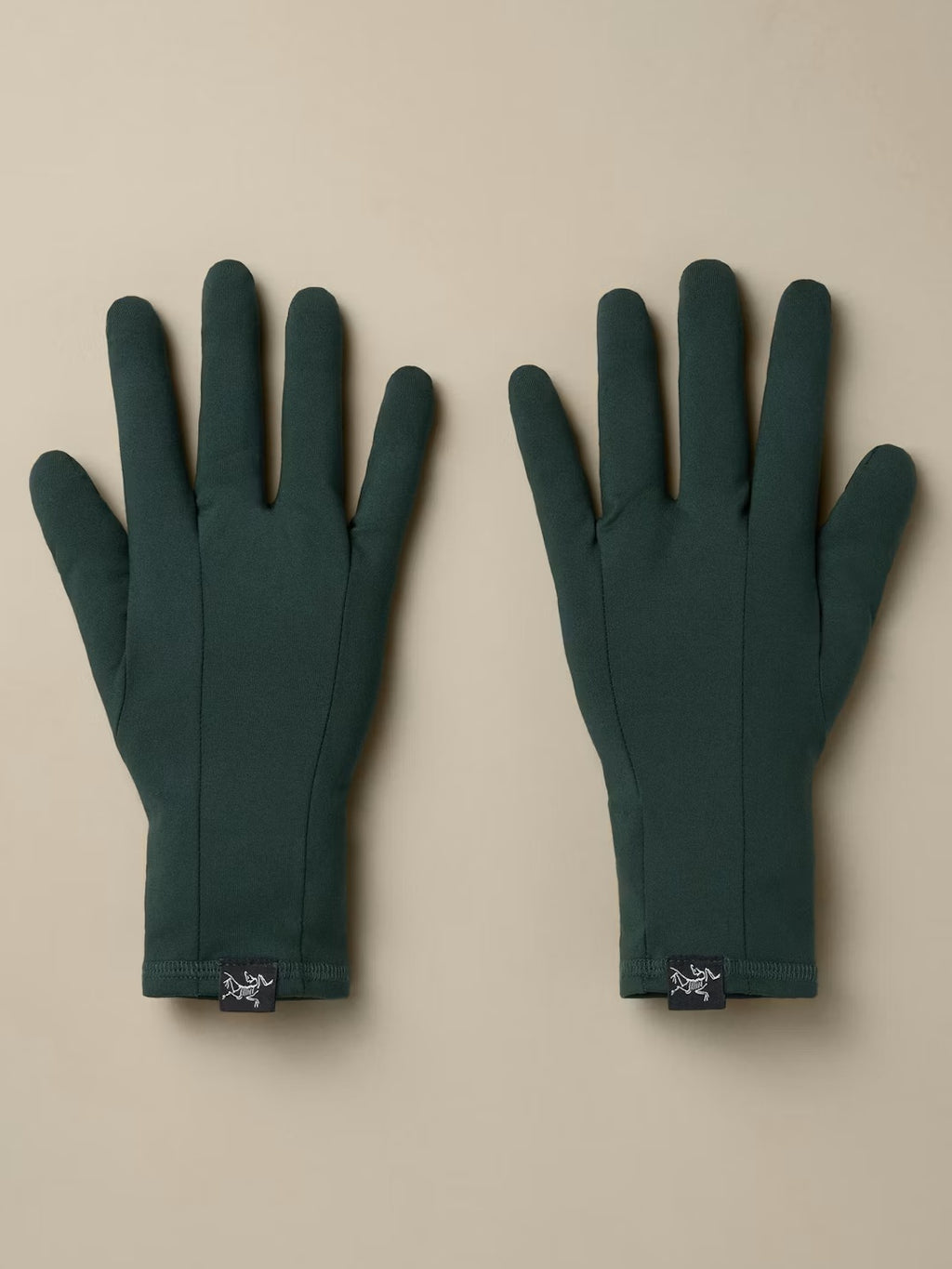 Rho Glove #Dark Jade [X00000658308]｜ARC'TERYX