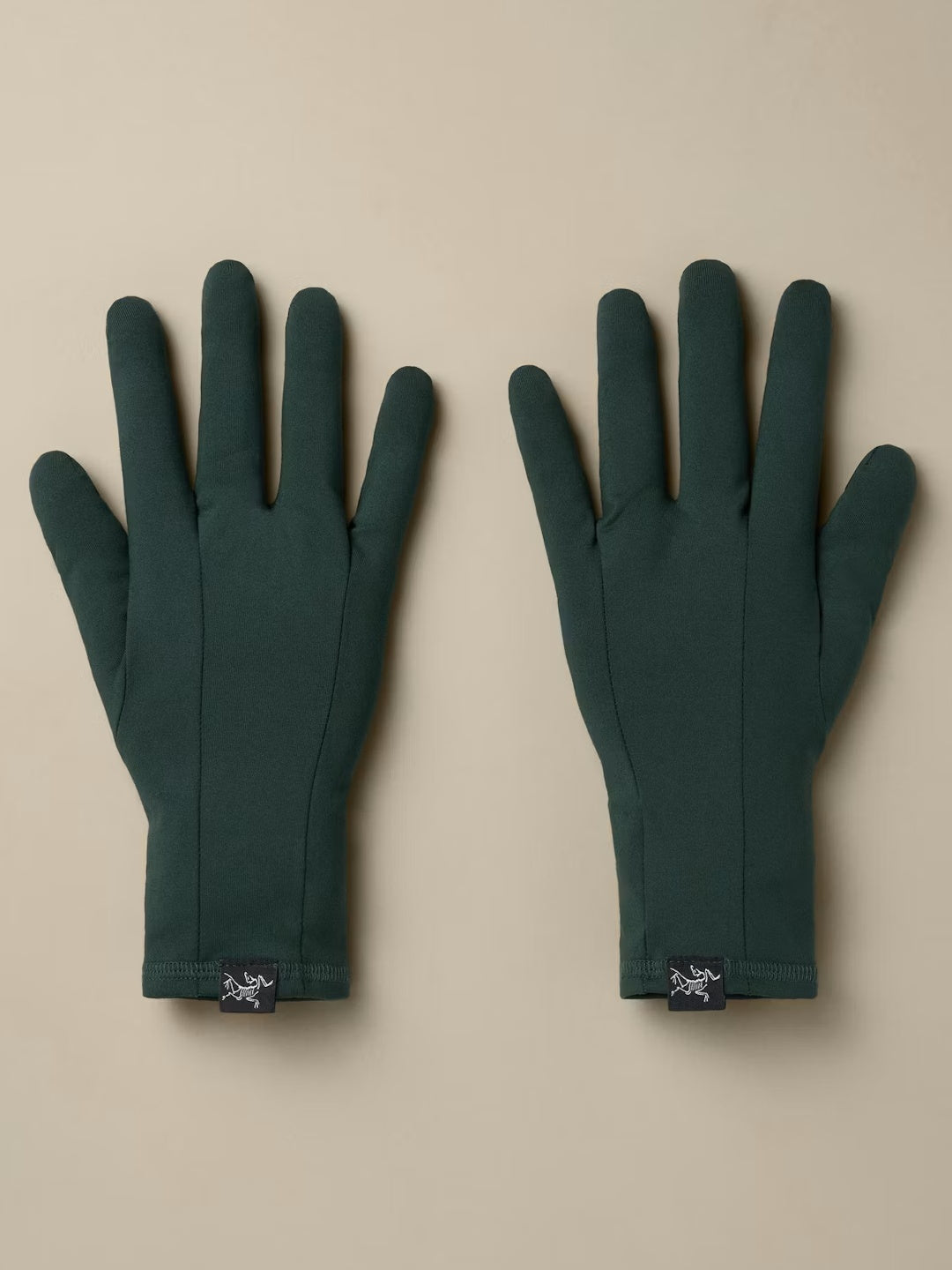 Rho Glove #Dark Jade [X00000658308]｜ARC'TERYX