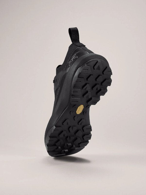 VERTEX ALPINE GTX M #Black/Black [L08100800]｜ARC'TERYX