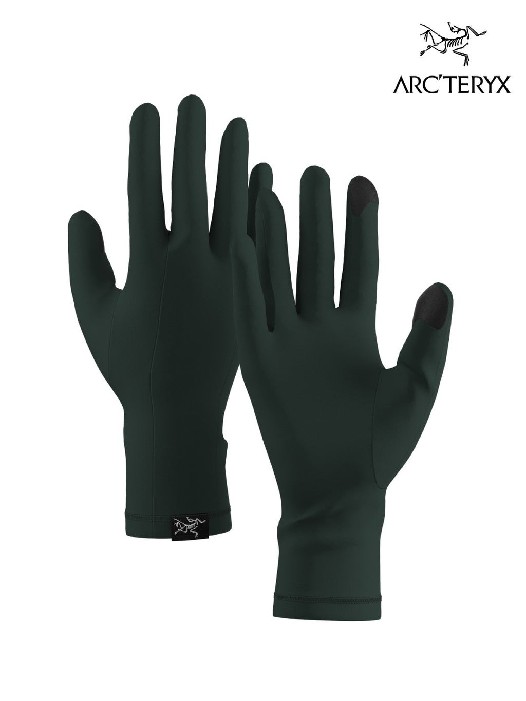 Rho Glove #Dark Jade [X00000658308]｜ARC'TERYX