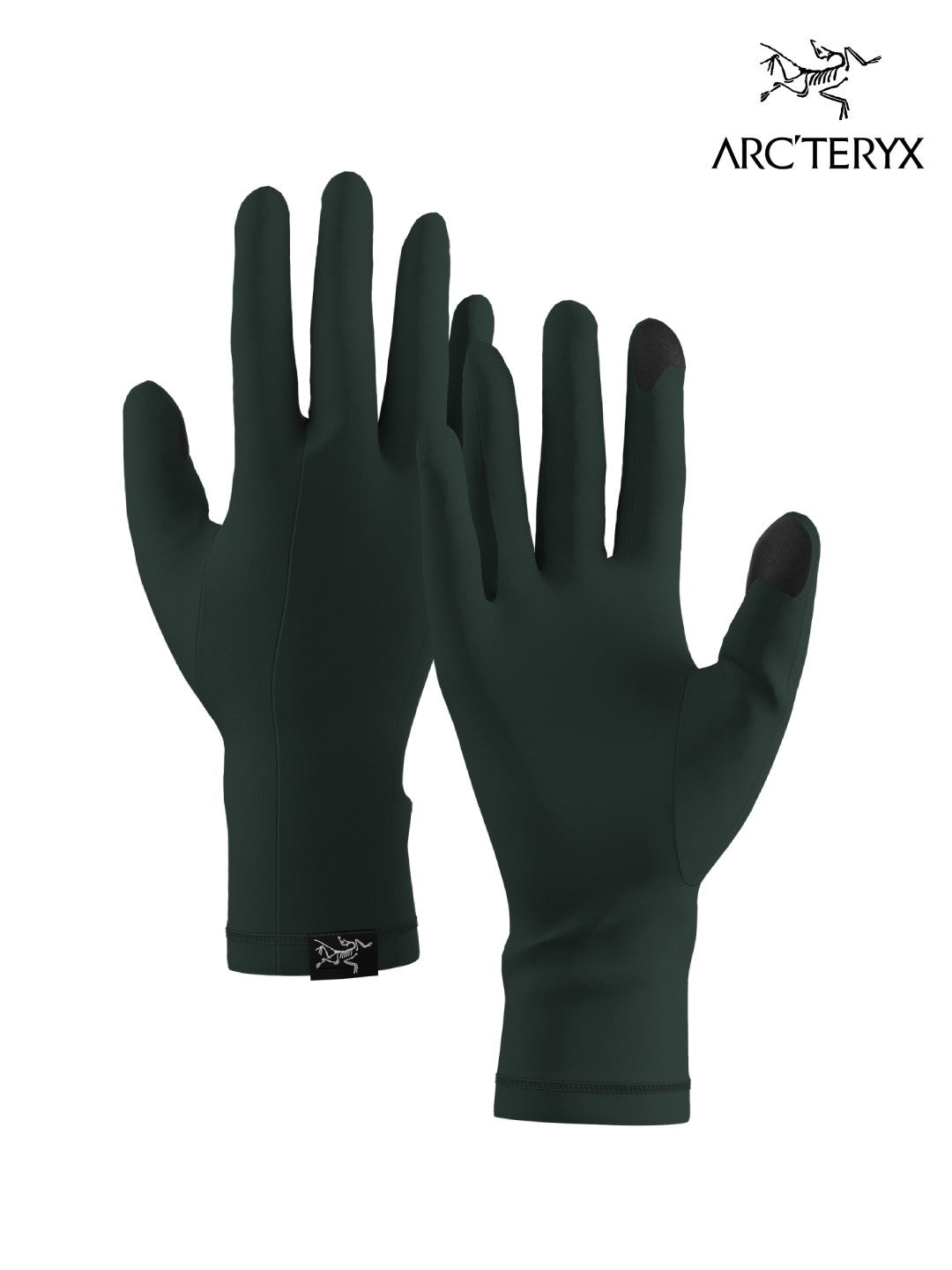 Rho Glove #Dark Jade [X00000658308]｜ARC'TERYX