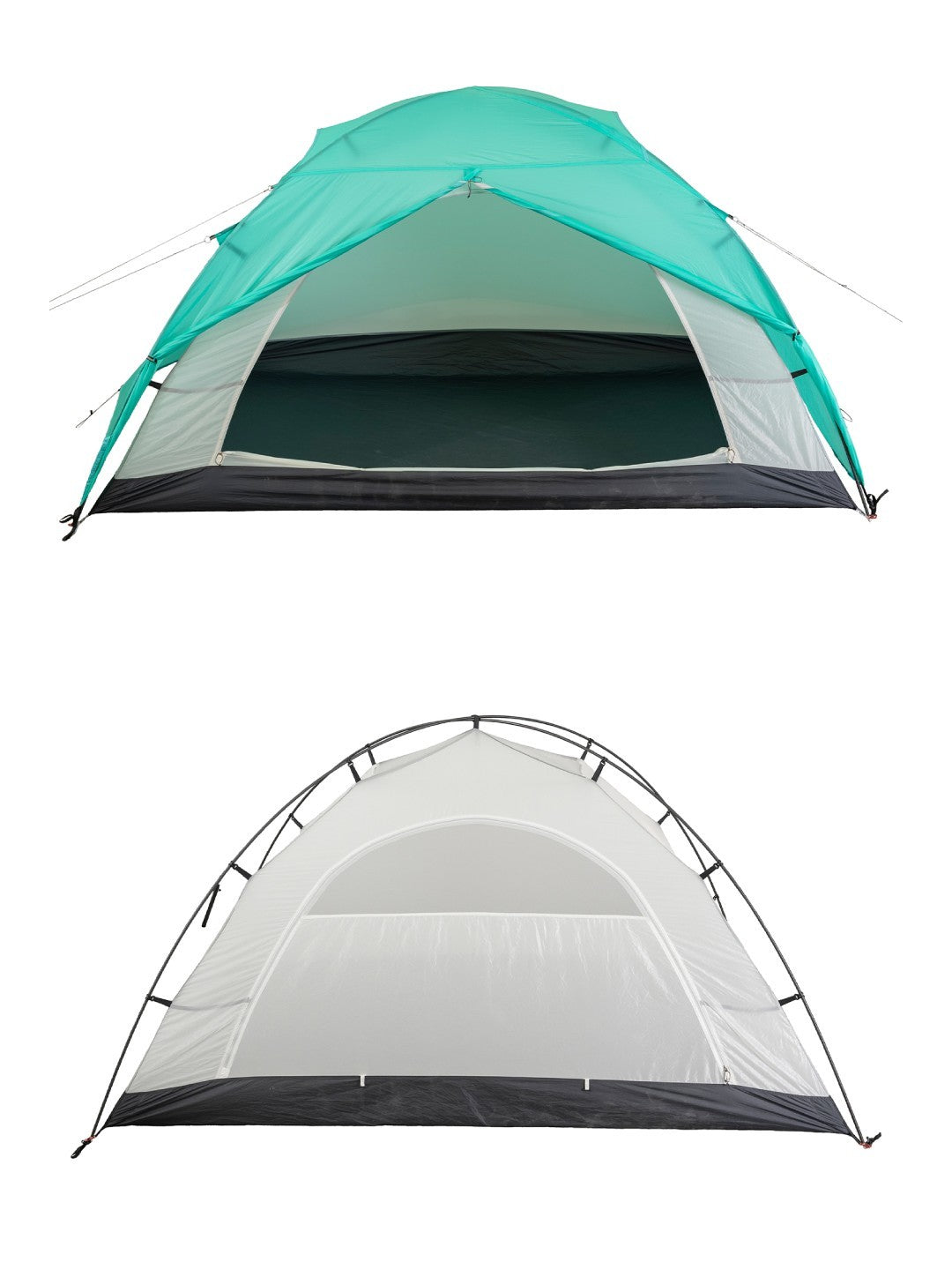 Meadow highat carbon [EBYL301]｜EVERNEW – moderate