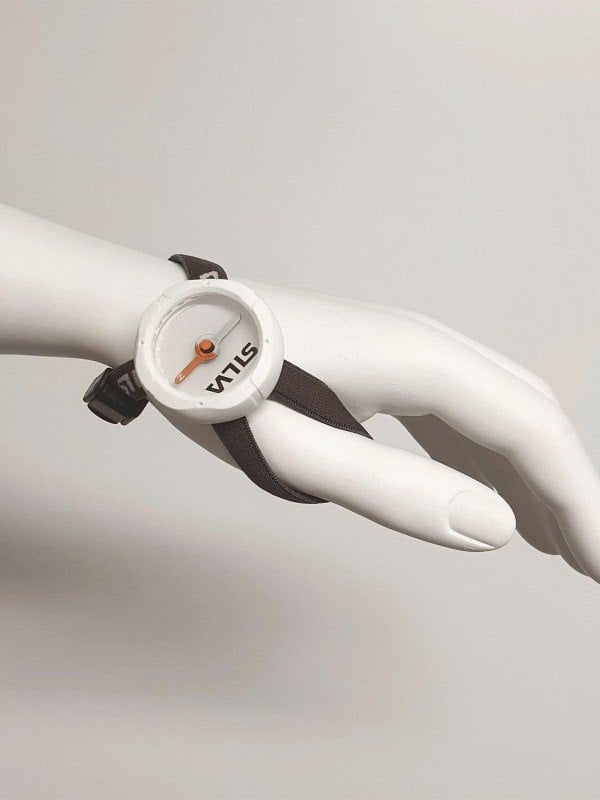 Begin2 [ECH155]｜SILVA