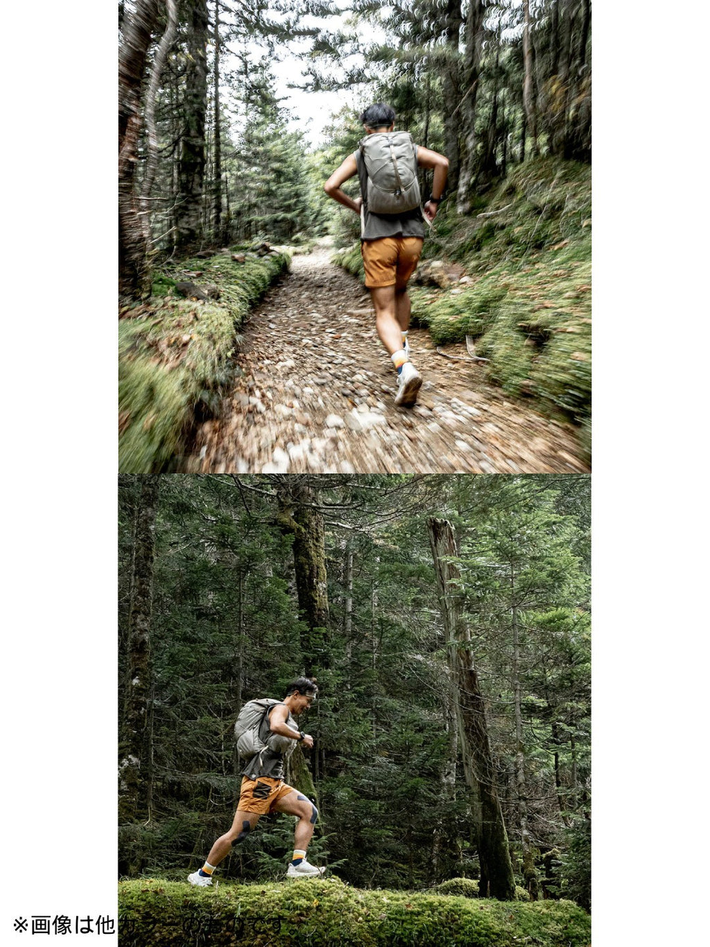 ラッシュ20 #ミッドナイト [RP602MDN]｜PAAGO WORKS