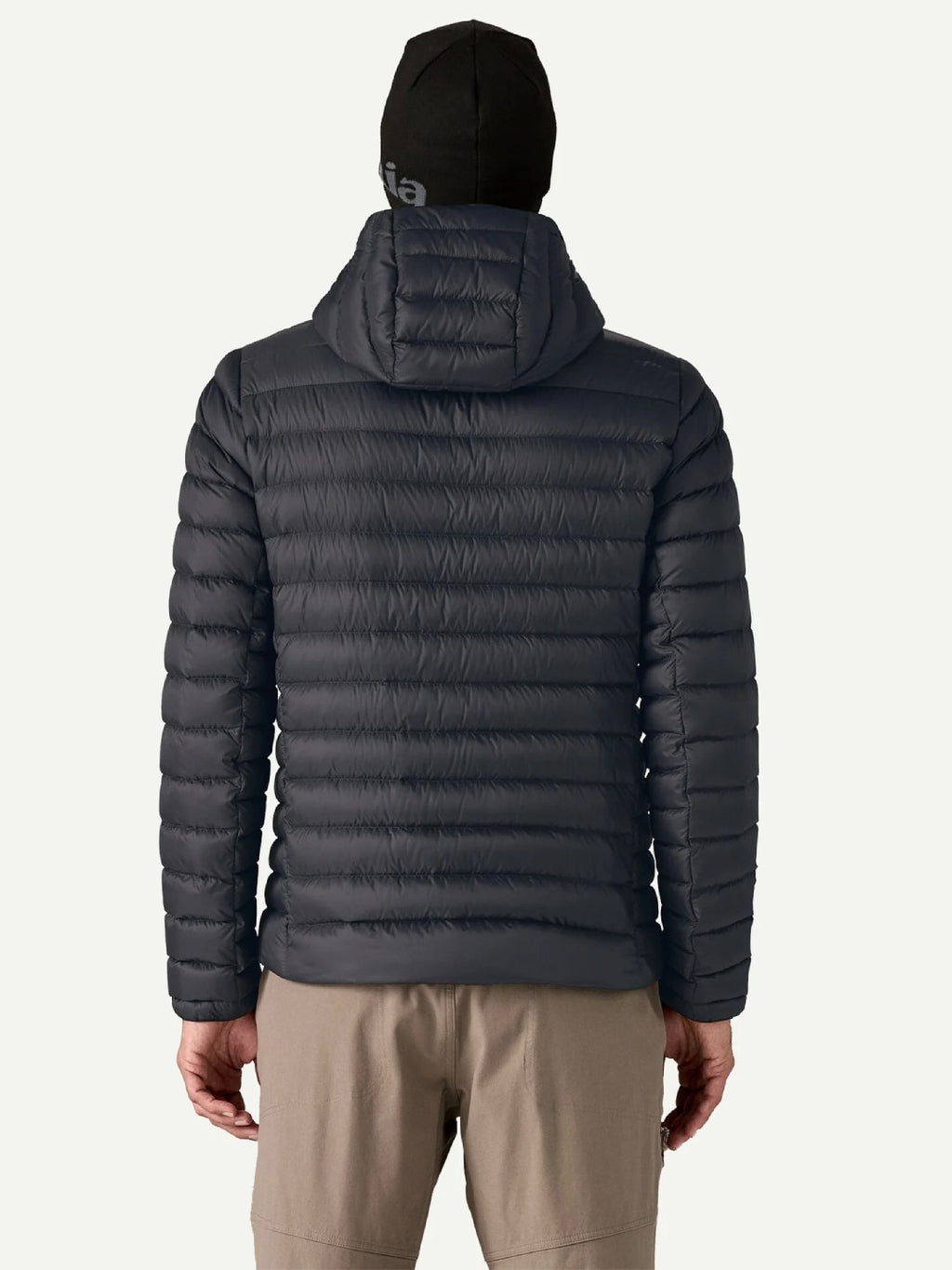 【Men】Men's Down Sweater Hoody #BLK [84702]｜patagonia