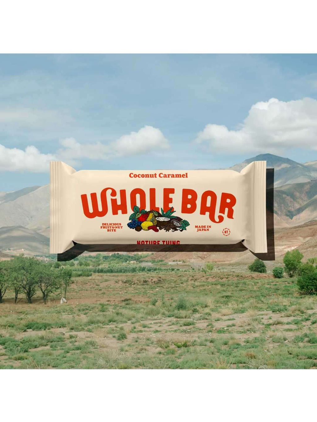 WHOLE BAR / ココナッツキャラメル  [A3]｜NATURE THING