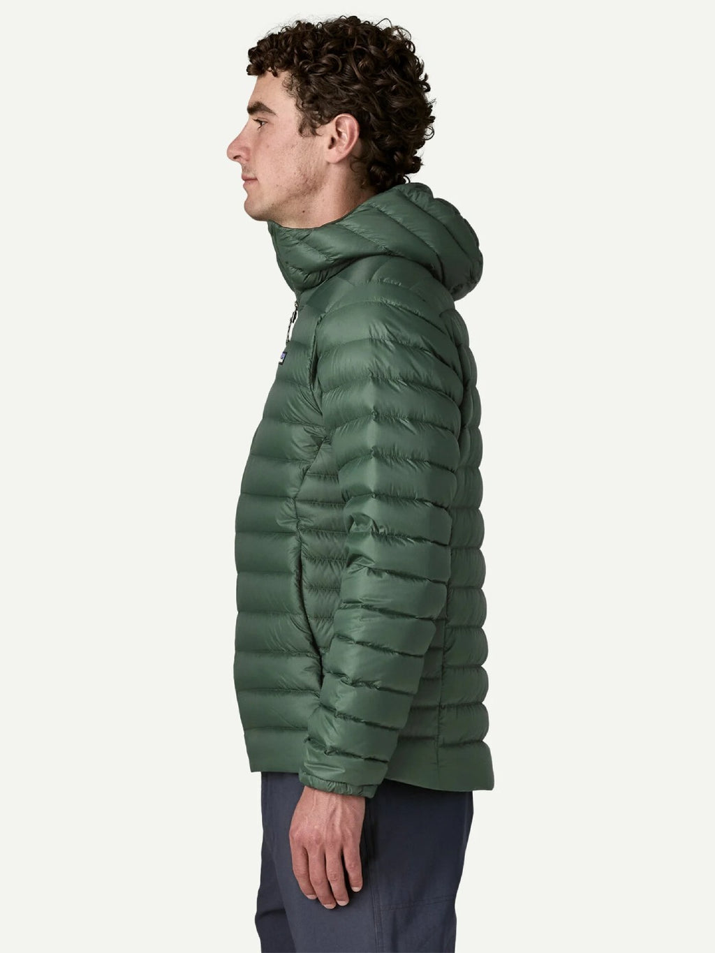【Men】Men's Down Sweater Hoody #TLGR [84702]｜patagonia