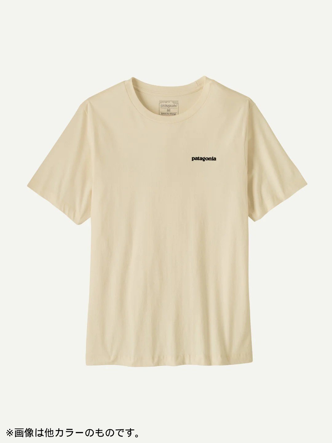 Fitz Roy Trout T-Shirt #SMDB [37846]｜patagonia