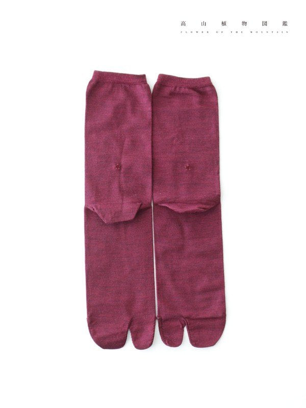 Hakusanfuuro baselyer socks #Bordeaux｜高山植物図鑑