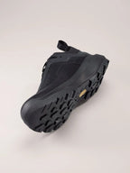 VERTEX ALPINE GTX M #Black/Black [L08100800]｜ARC'TERYX