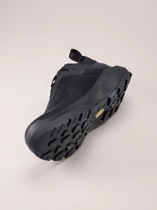 VERTEX ALPINE GTX M #Black/Black [L08100800]｜ARC'TERYX